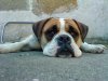DSC00837.jpg