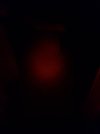 20220814_132940.jpg
