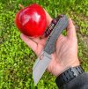 applerox.jpg