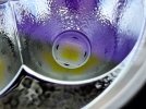20221001_151615.jpg 20221001_151615.jpg