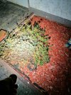 PSX_20221110_192825.jpg