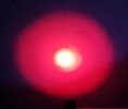 PSX_20221120_145003.jpg PSX_20221120_145003.jpg