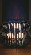 Compress_20221125_224145_5990.jpg