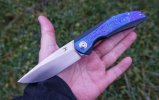 kansept.accipiter.20230109.jpg