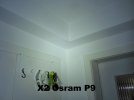 IMG_2282b.jpg