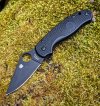 para3.jpg