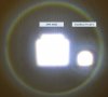 01_SP68-C10_a.jpg