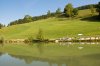 DSC_1327_rawLR.jpg