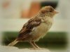 Urlaub 2013 218-1.jpg