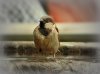 Urlaub 2013 221-1.jpg