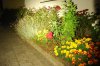 DSC_0112.jpg DSC_0112.jpg
