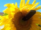 DSCN0012.JPG