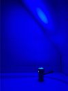 IMG_7544.jpeg