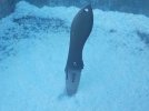DSCN0836.JPG
