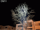 Bild4.gif
