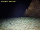 Imalent-MS32-90000-Lumen-Wiese.jpg
