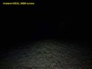 Imalent-MS32-9000-Lumen-Wiese.jpg