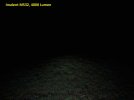 Imalent-MS32-4000-Lumen-Wiese.jpg