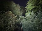 IMG_9793.jpeg
