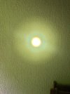 IMG_0183.jpeg