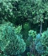 IMG_0178.jpeg