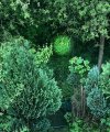 IMG_0179.jpeg