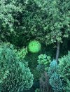 IMG_0180.jpeg