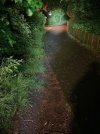 IMG_0224.jpeg