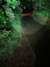 IMG_0223.jpeg