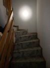 IMG_0646.jpeg