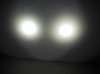 SRA40_7.jpg