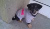 IMAG0215.jpg