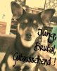 PicsArt_1361656315629.jpg