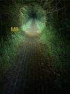 IMG_0243.jpeg