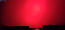 DL07-Red.jpg