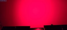 DL08-Red.jpg