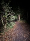 IMG_4279.jpeg