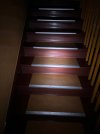 IMG_4283.jpeg