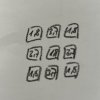 IMG_2018.jpeg