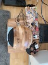 IMG_2319.jpeg