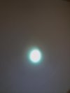 IMG_20250201_175200.jpg