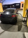 IMG_2900.jpeg