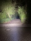 IMG_6795.jpeg