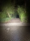 IMG_6794.jpeg
