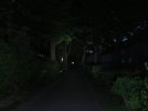 Fenix_Weg.JPG