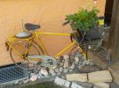 DSCN0839.JPG