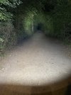 IMG_7050.jpeg