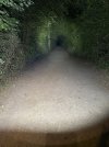 IMG_7049.jpeg