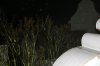 IMG_8756.jpg