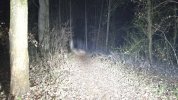 20251217_193314.jpg 20251217_193314.jpg